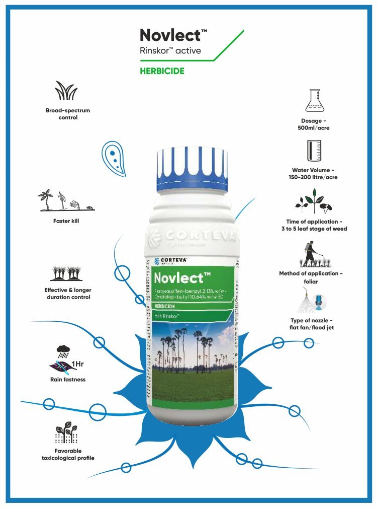 Corteva Agriscience® launches Novlect™ offering rice farmers weed control herbicide with added soil benefits